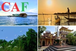 Kiểm toán bctc uy tín chuyên nghiệp tại Cái Nước Cà Mau