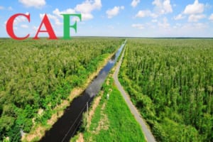 Kiểm toán bctc ở U Minh tỉnh Cà Mau