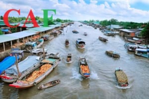 Kiểm toán báo cáo tài chính chuyên nghiệp tại Mỏ Cày Nam Bến Tre