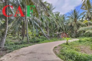 Kiểm toán uy tín và chuyên nghiệp huyện Ba Tri tỉnh Bến Tre