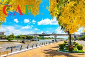 Kiểm toán uy tín ở huyện Châu Thành A Hậu Giang