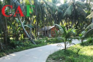 Thuê kiểm toán uy tín ở Giồng Trôm tỉnh Bến Tre