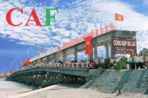 Thuê kiểm toán độc lập huyện Bình Đại Bến Tre