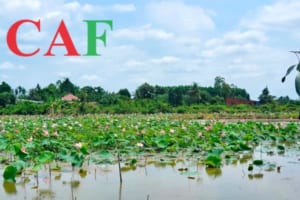 Thuê kiểm toán ở Châu Thành tỉnh Bến Tre