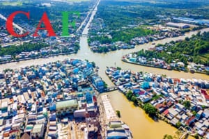 Đơn vị kiểm toán độc lập tại tp Ngã Bảy Hậu Giang