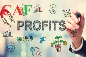 Cách chia lợi nhuận đối với công ty trách nhiệm hữu hạn