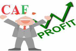 Cách chia và các hình thức chia lợi nhuận trong công ty cổ phần