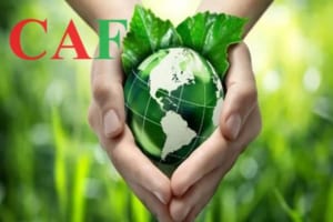 Những nhóm hàng hóa nào không chịu thuế bảo vệ môi trường