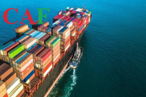 Công ty nhận ủy thác có xuất hóa đơn với hàng hóa xuất khẩu hay không