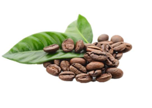 Mua bán cà phê tươi thì thuế xuất thuế gtgt bao nhiêu