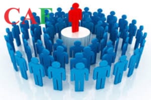 Một người có được làm giám đốc cả hai công ty tnhh 1 thành viên hay không