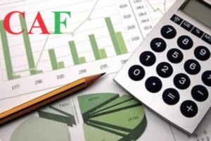 Những công ty dịch vụ kế toán kiểm toán độc lập uy tín tỉnh Long An