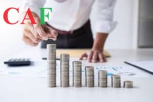 Top các quỹ đầu tư lớn nhất tại Việt Nam hiện nay