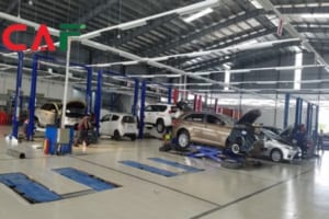 Kinh nghiệm là kế toán trong công ty bán phụ tùng và sửa chữa ô tô