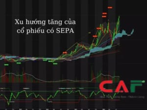 Những điểm nhấn của phương pháp SEPA