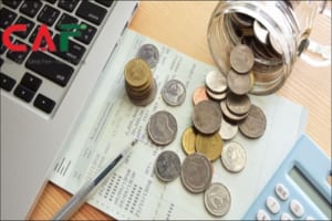 Thu nhập khả dụng là gì và cách tính thu nhập khả dụng