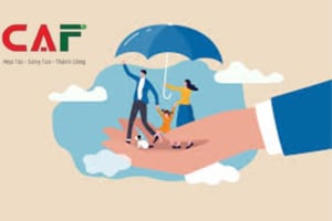 Thuế giá trị gia tăng bảo hiểm