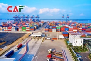 Kim ngạch là gì và ý nghĩa là gì