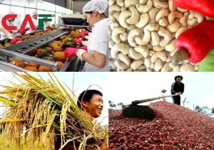 Thuế suất thuế gtgt nông sản từ 1/7/2025