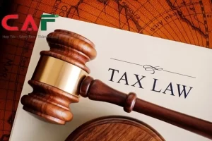 Luật số 48/2024/QH15 của Quốc hội: Luật Thuế giá trị gia tăng