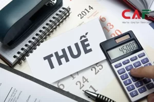 Luật số 67/2025/QH15 của Quốc hội: Luật Thuế thu nhập doanh nghiệp